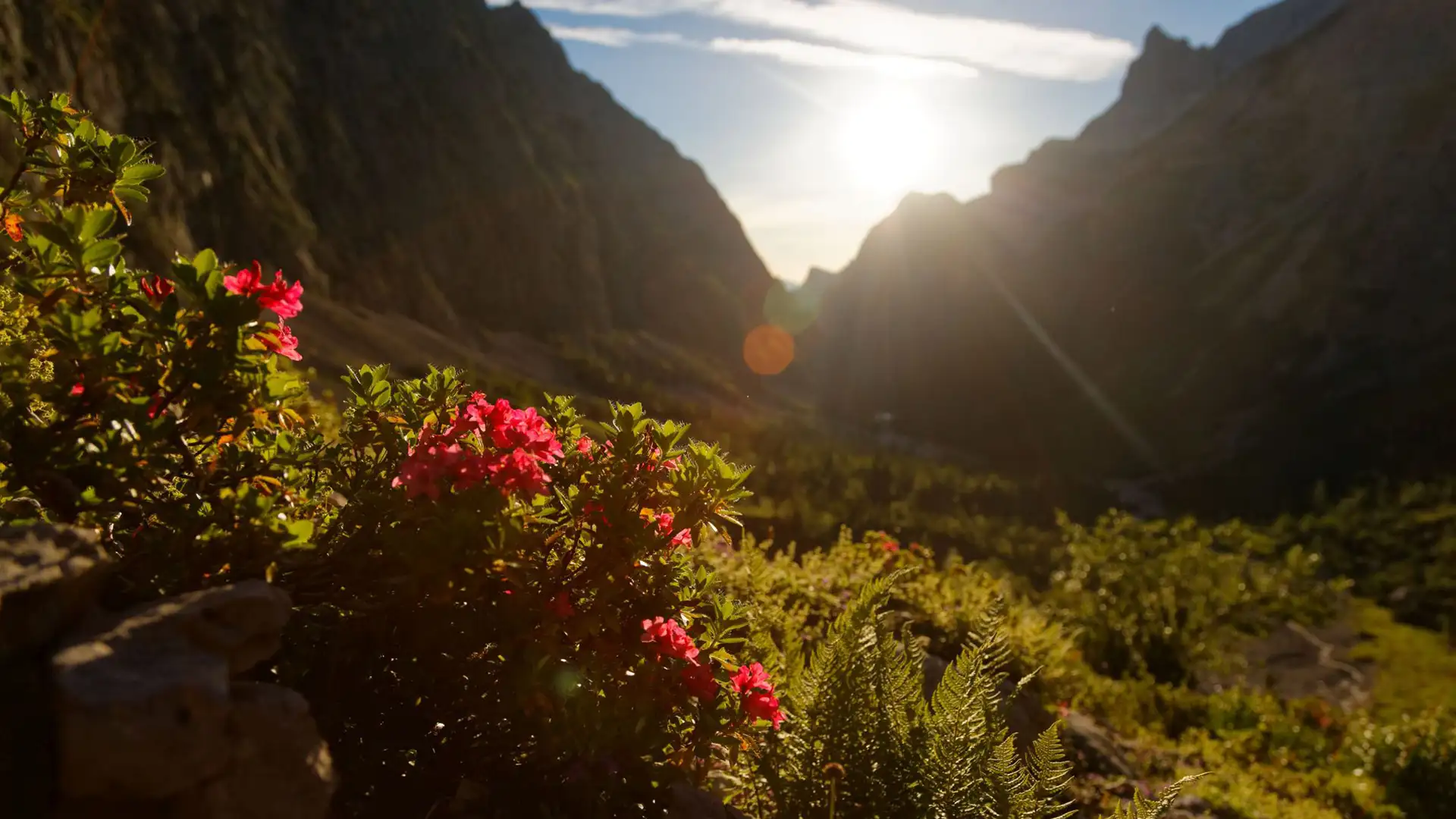Gipfelkreuz im Sonnenuntergang über den Bergen rund um Garmisch-Partenkirchen