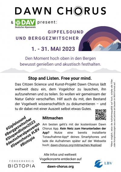 Gipfelsound und Berggezwitscher